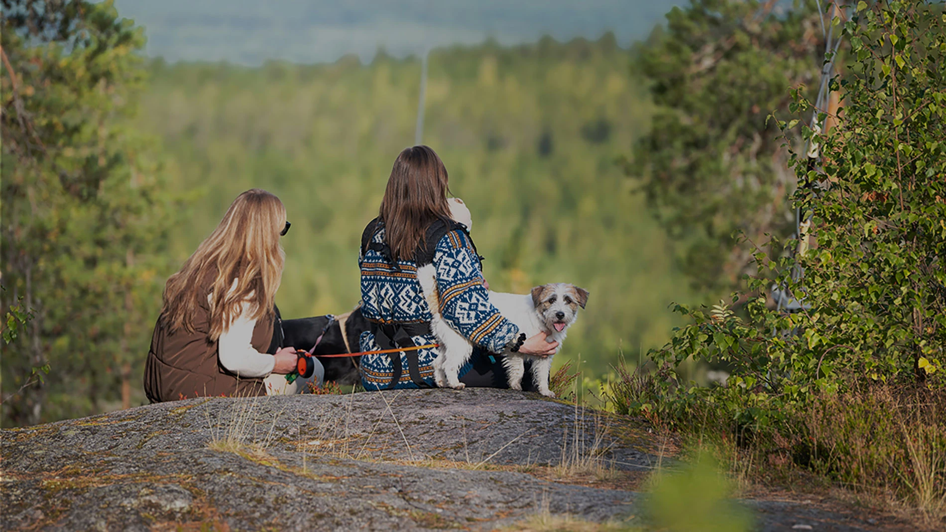 Visit Äänekoski kasvattaa laadukasta liikennettä sesonkien rytmissä