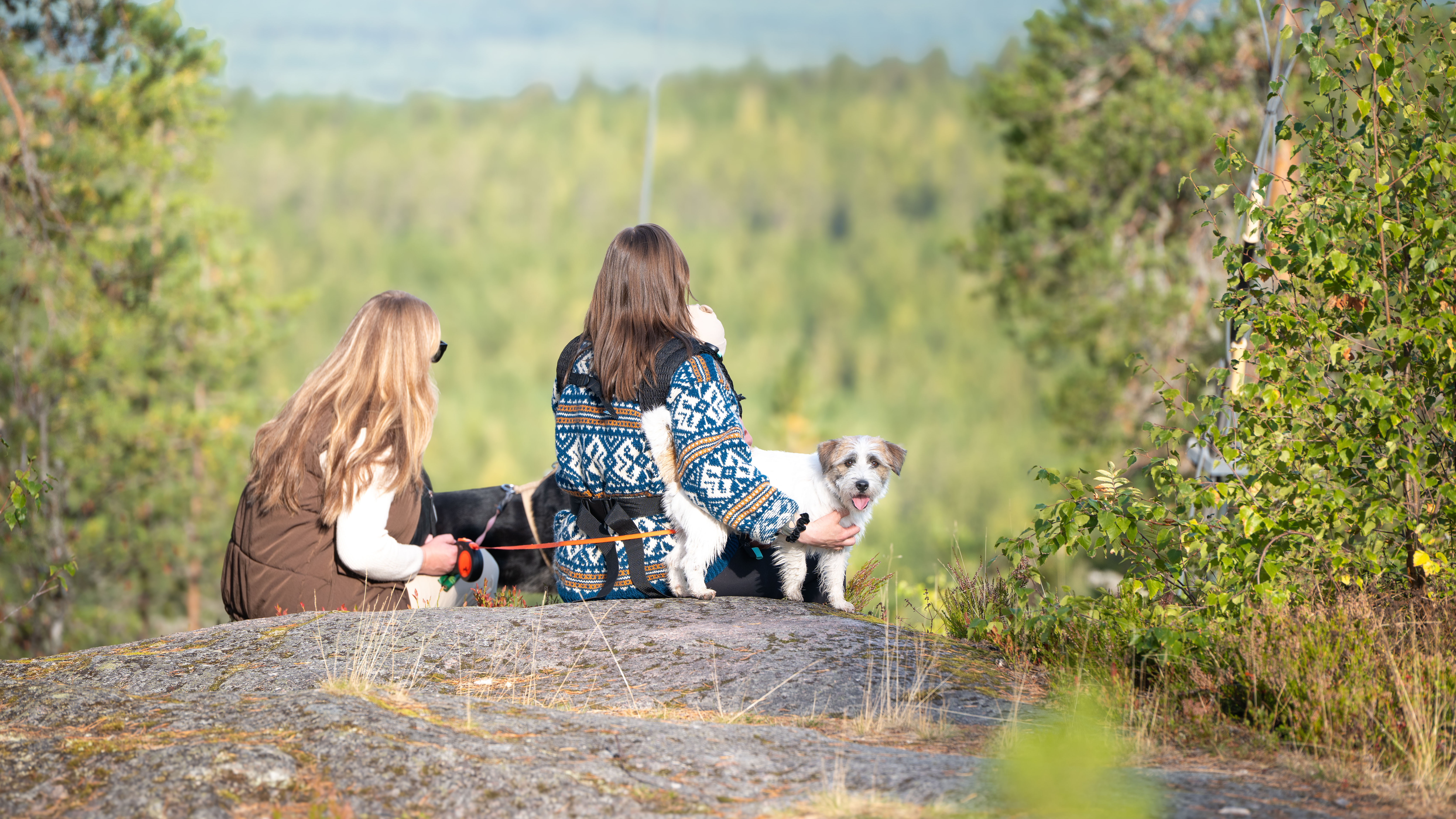 Visit Äänekoski kasvattaa laadukasta liikennettä sesonkien rytmissä